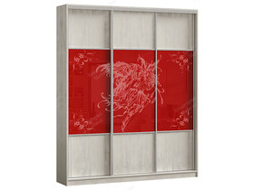 Шкаф купе Вестон 9